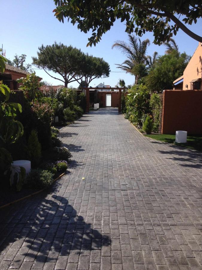 Estudio Con Jardincito Privado Barbacoa Y Piscina Cadiz Luaran gambar